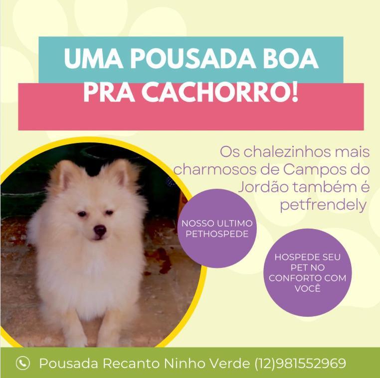 Recanto Ninho Verde