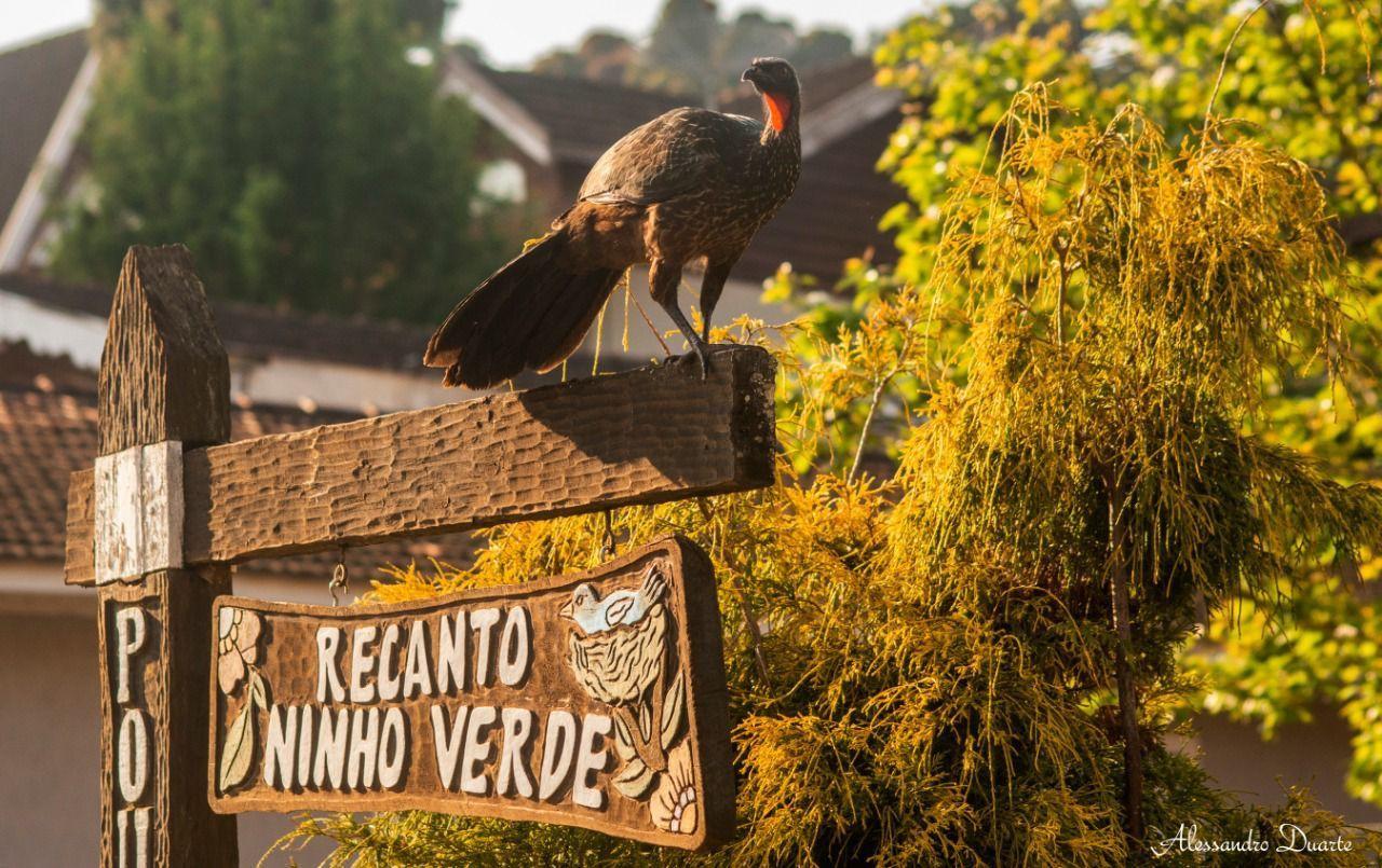 Pensão Recanto Ninho Verde 3*